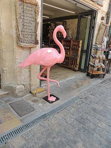 2022 07 UN AIR DE VACANCES 22 AIGUES MORTES (22)